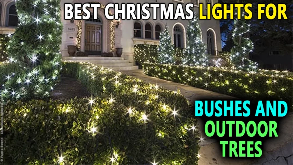 best christmas lights for bushes and outdoor trees